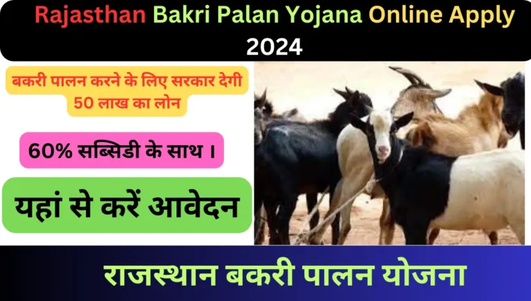 Rajasthan Bakri Palan Yojana Online Apply 2024